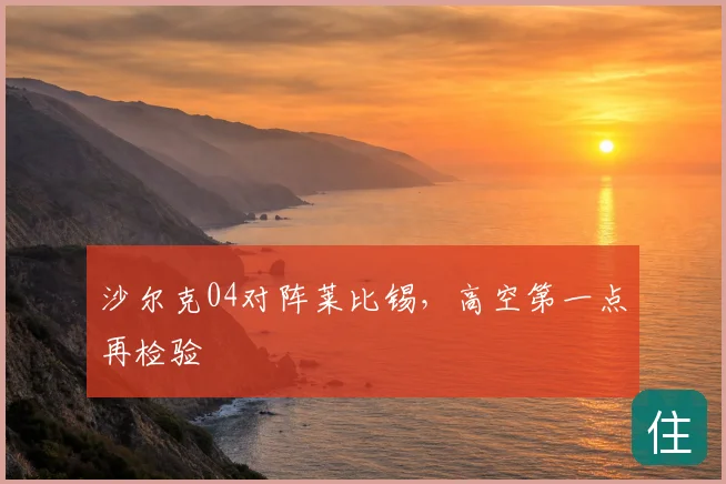 沙尔克04对阵莱比锡,高空第一点再检验